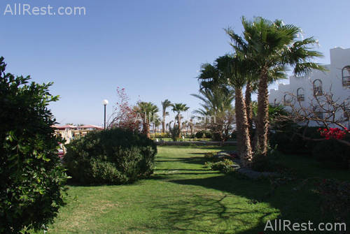Arabia Beach Resort 14